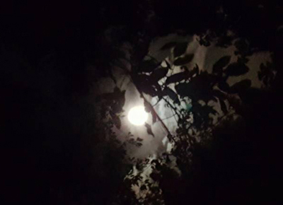 5 settembre “Alla luna. Passeggiata notturna tra poesia e scienza”