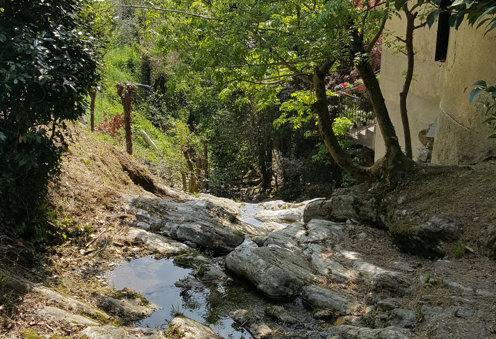 8 ottobre “Una vena d’acqua nel cuore di Como. Risalendo il Valduce”